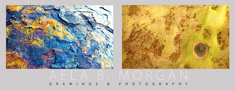 Aela B. Morgan Exhibition